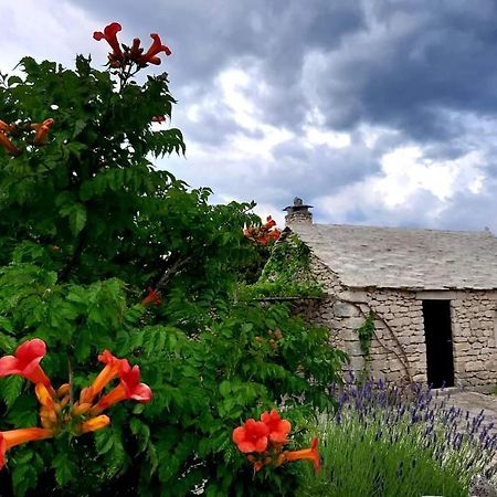 Country House Hacienda Селка Екстер'єр фото